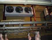 屠宰場(chǎng)排酸冷庫(kù)